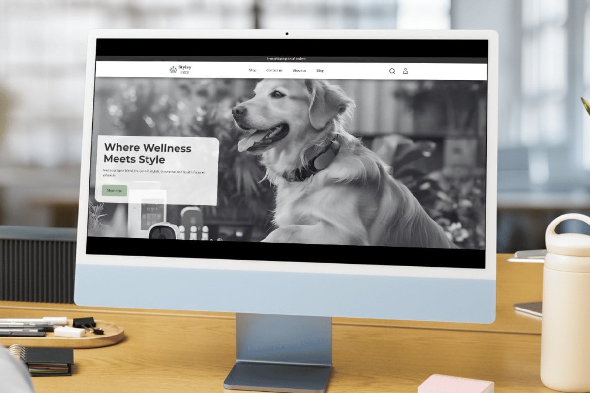 E-commerce website design